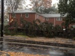 Linden Street tree down Monday Hurricane Sandy