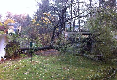 Hurricane Sandy, tree down, Pickerel Road