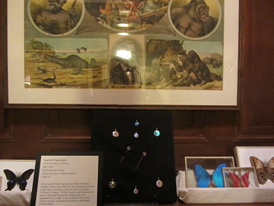 Denton Butterflies & Jewelry, Wellesley Historical Society