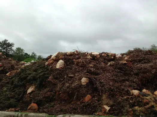 Wellesley RDF compost mountain, june 2013