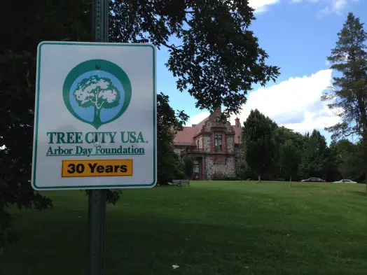 tree city sign