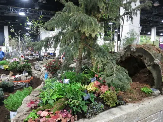 This was Mass Hort's lush and fabulous contribution to the Boston Flower Show's 2015 display on the main floor. This year's them is "Nurtured by Nature."