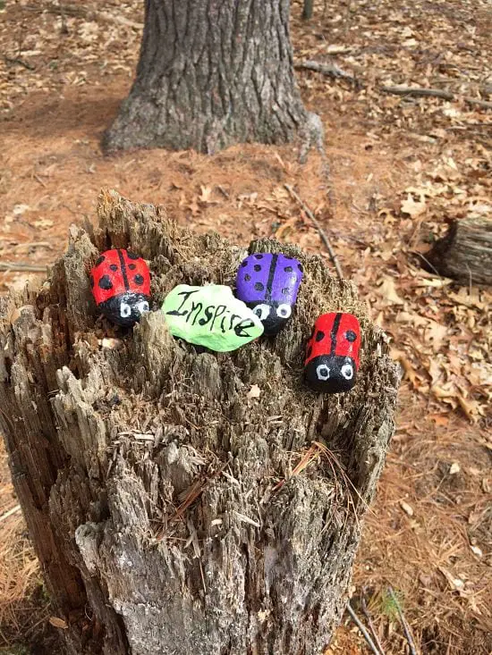 Painted rocks in woods near Morses Pond