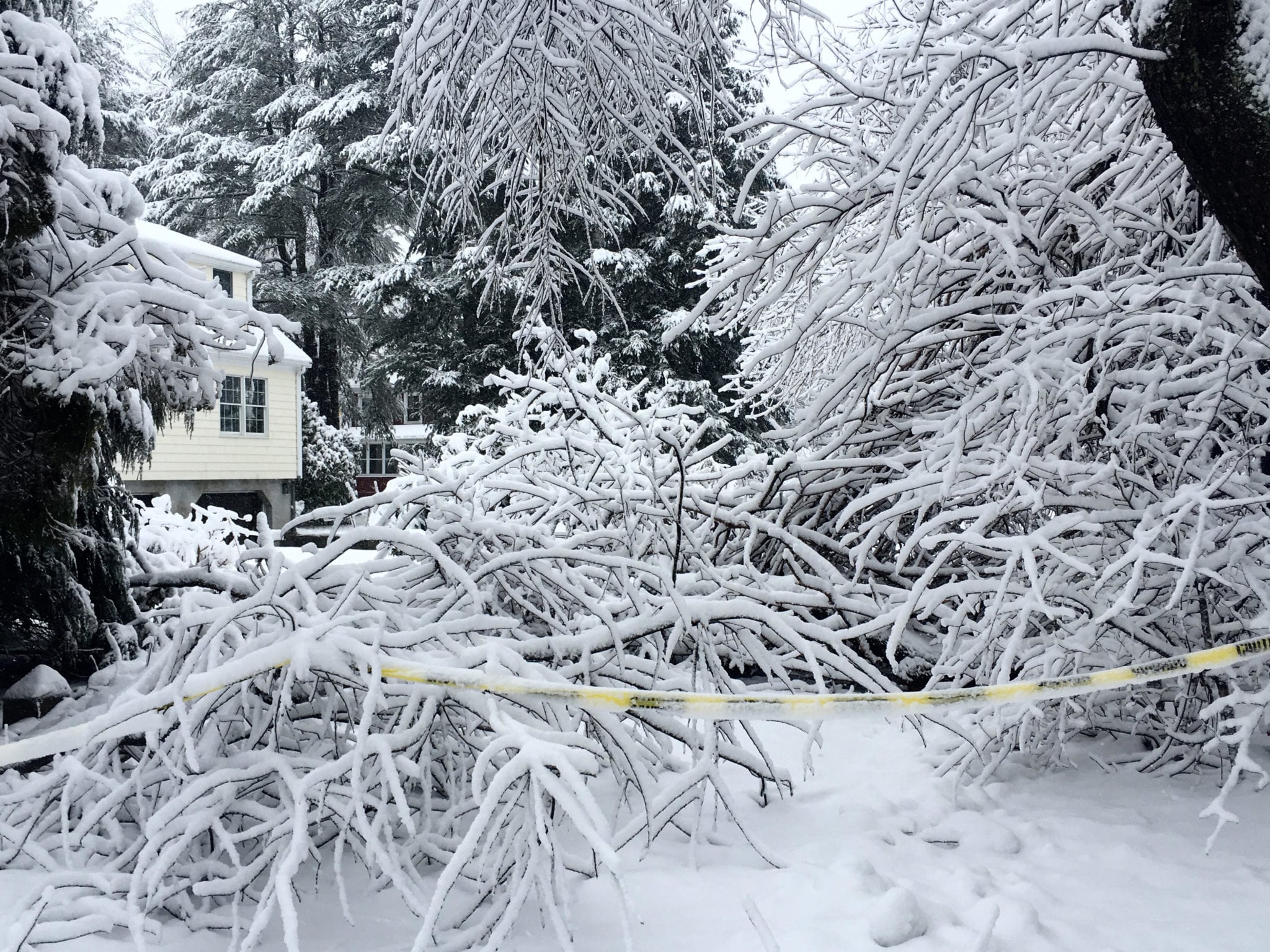 Wellesley, snow pictures, 2018