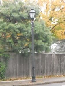 Wellesley streetlight