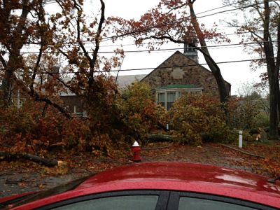 Sprague Elementary School trees down Hurricane Sandy