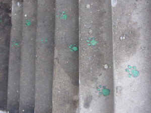 Pawprints used to lead the way to Tails