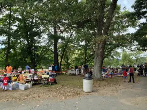 townwide yard sale morses pond 2013