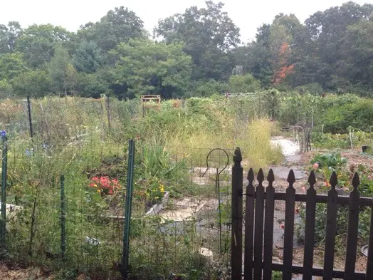 wellesley community garden