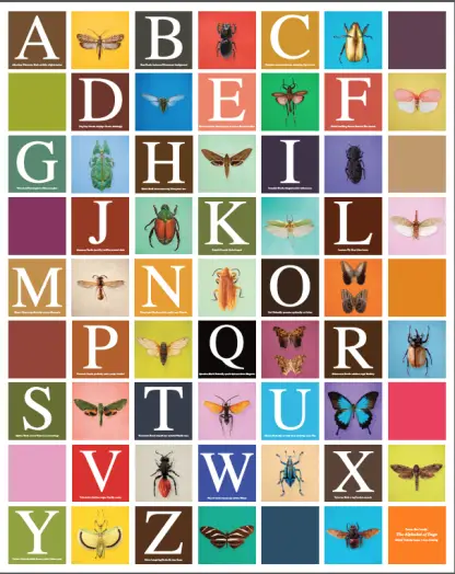 alphabet of bugs