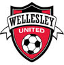 Wellesley Football