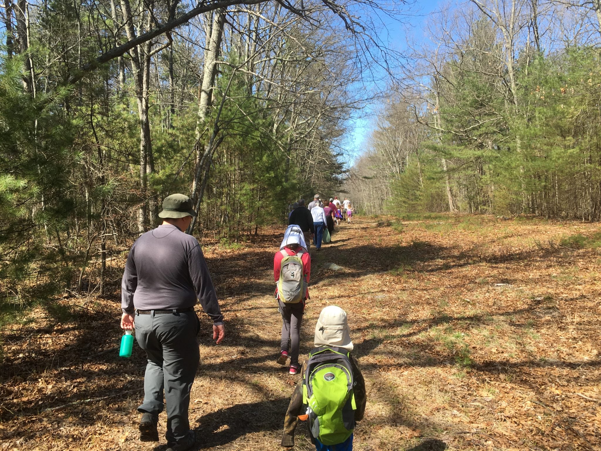 wellesley trails beard trail