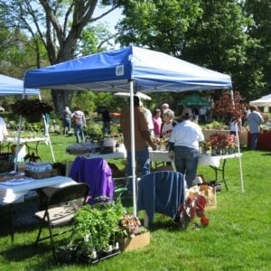Wellesley's Mass Hort, Gardeners' Fair