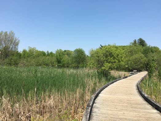Boardwalk, Lake Waban, Wellesley