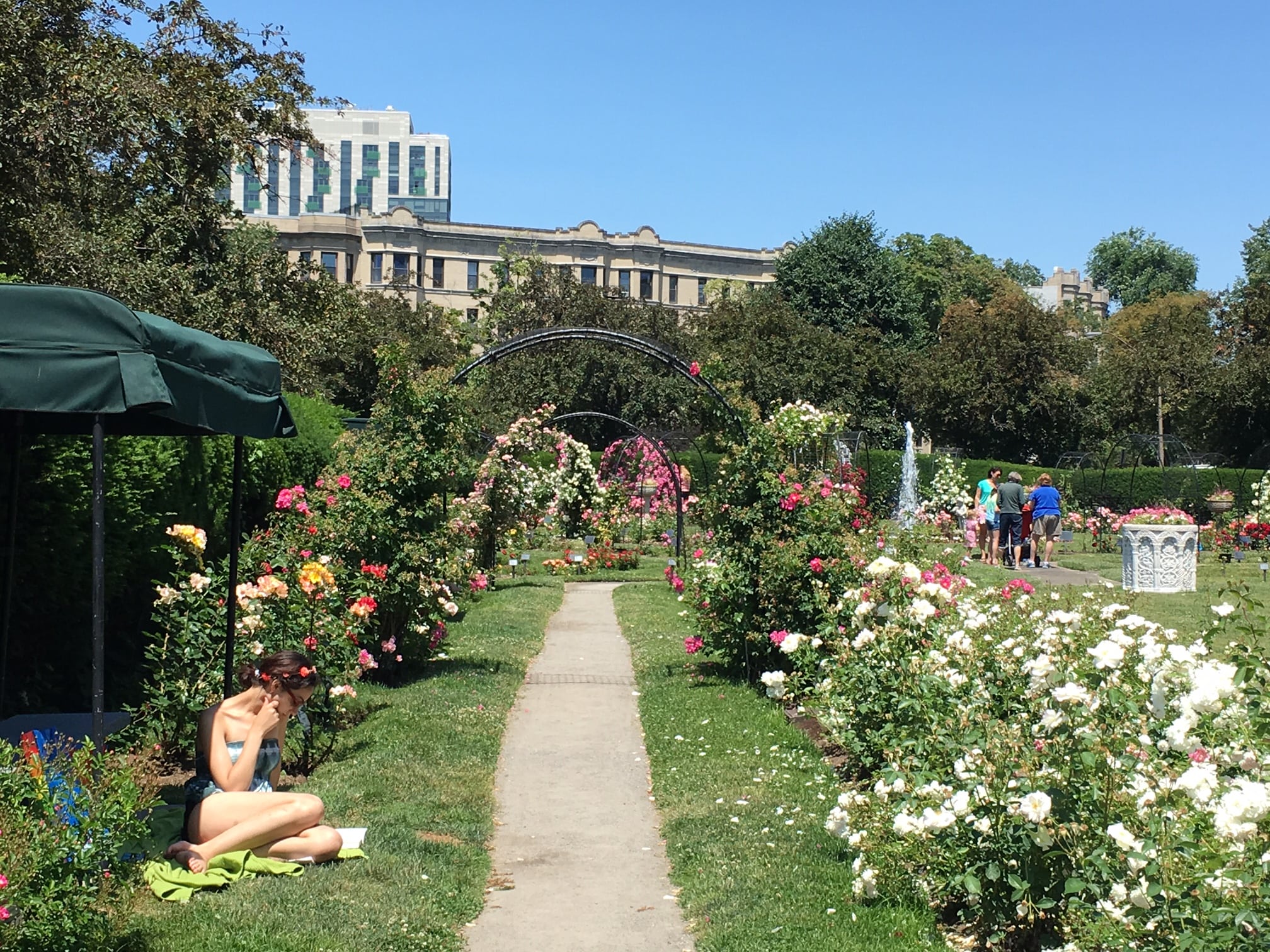 Kelleher Rose Garden, Boston