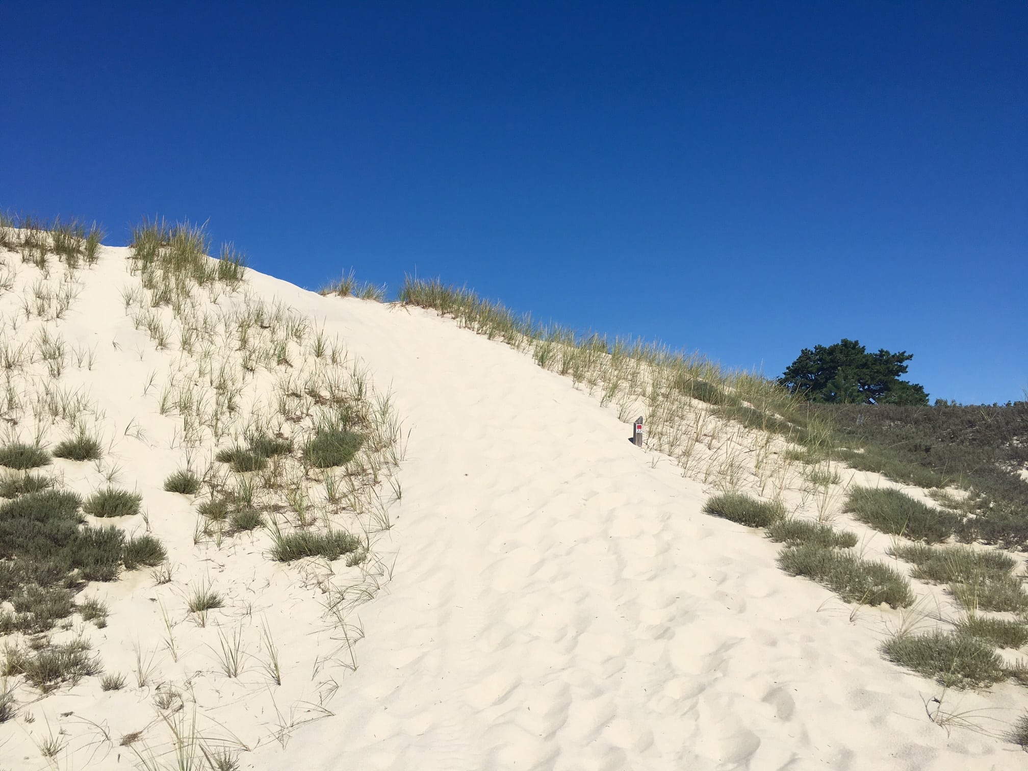 At post 22, you get to walk down a dune. After a lifetime of having it drummed into me that I must never EVER walk on the dunes, I was almost unable to do it. I dug deep, overcame mu early indoctrination, and did it.