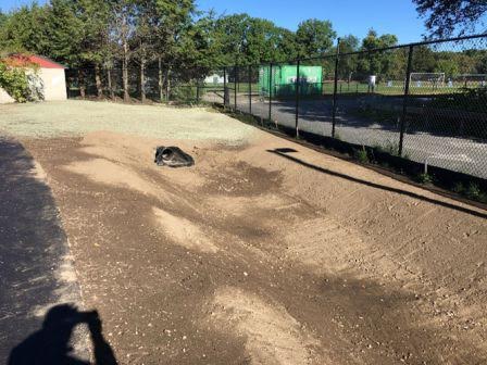 Wellesley Track & Field project