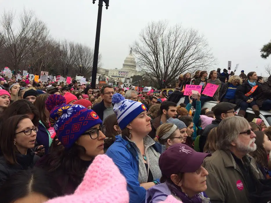 The Women's March, Washington, DC