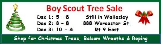 Boy Scout Tree Sale 2017, Wellesley