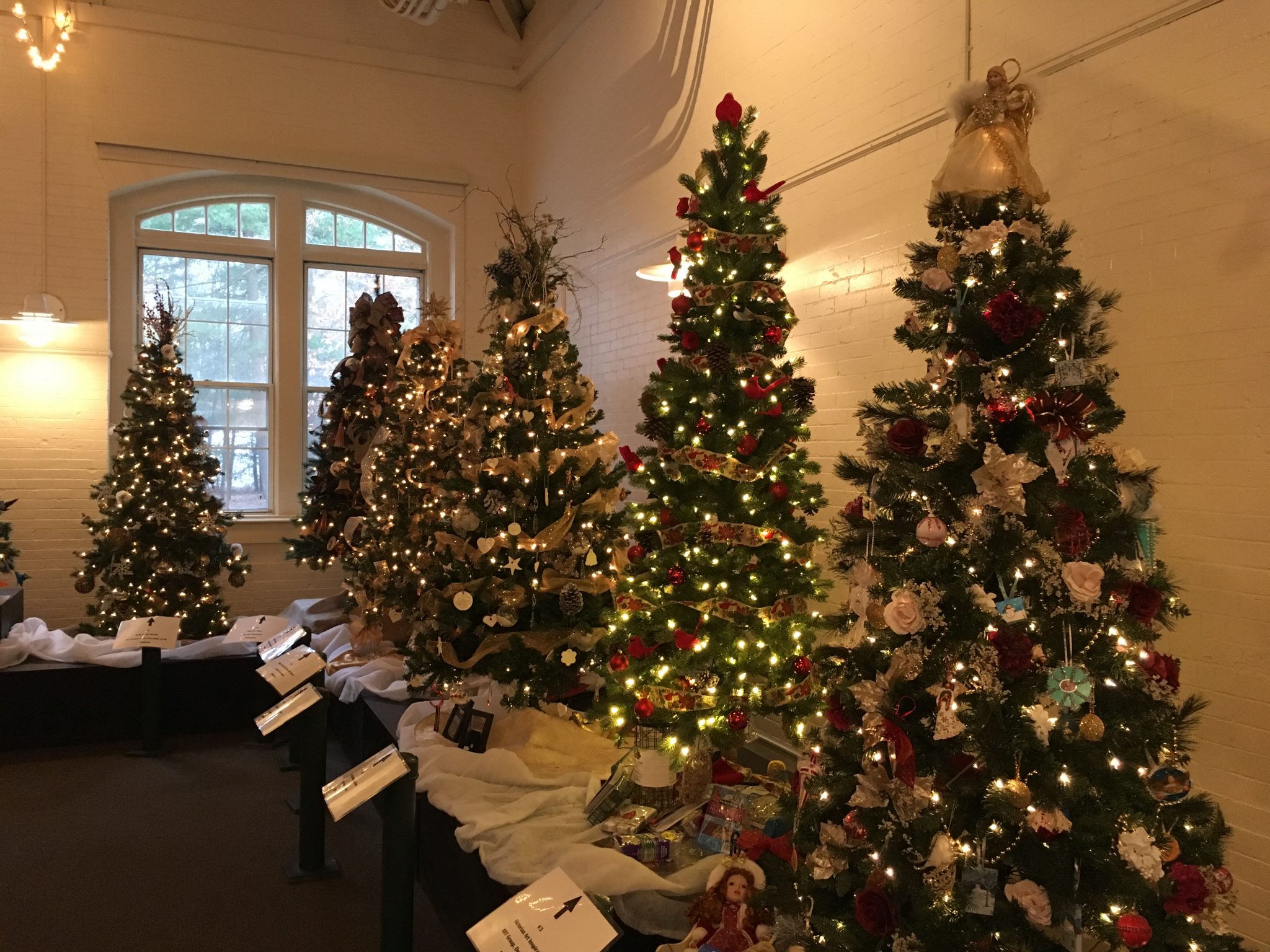 Get in the festive spirit at Mass Hort's Festival of Trees The