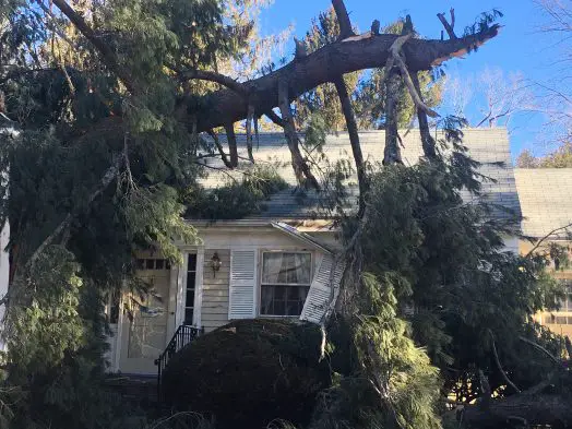 Wind-damaged home, Wellesley