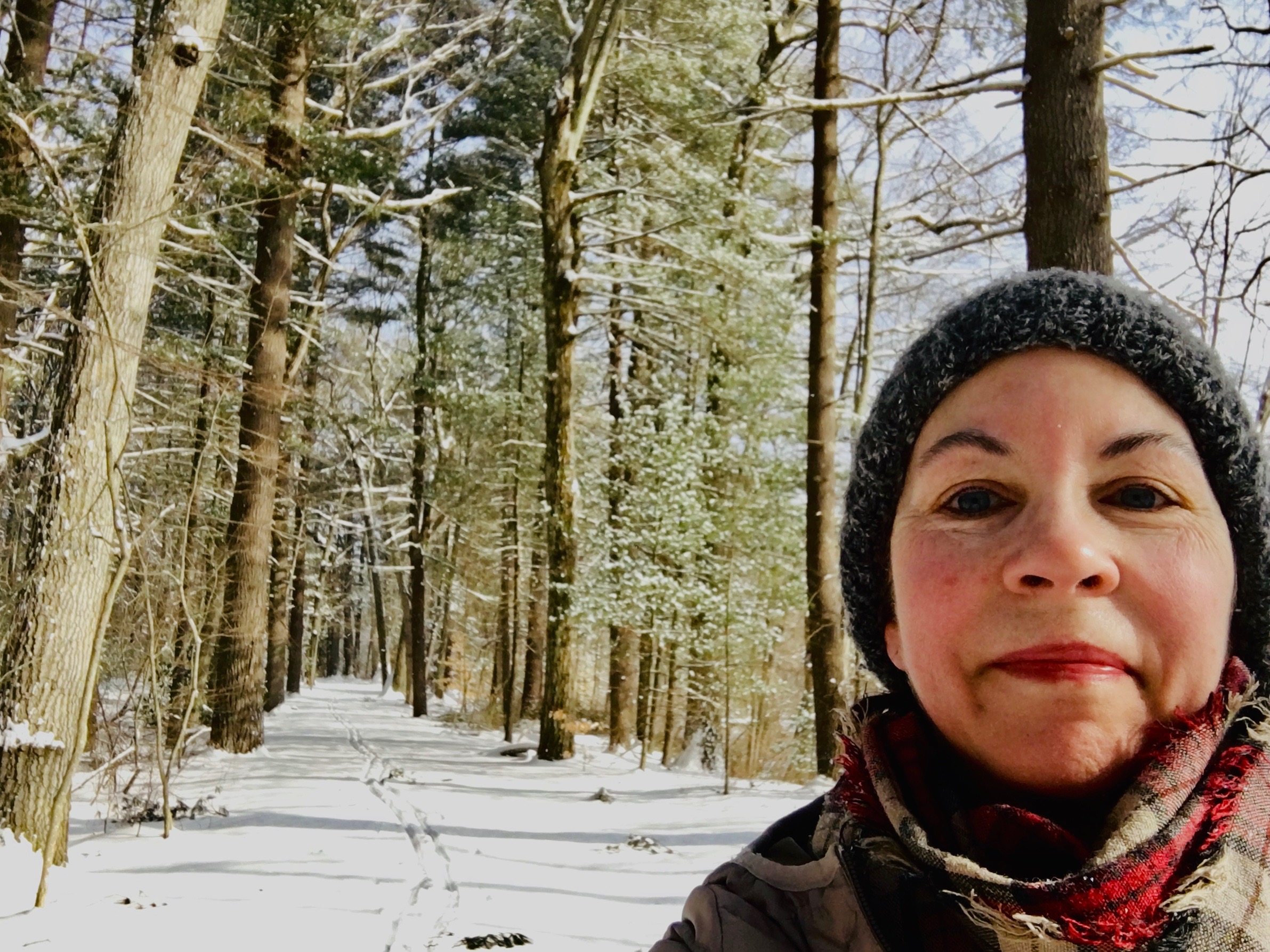 Nordic skiing, Wellesley