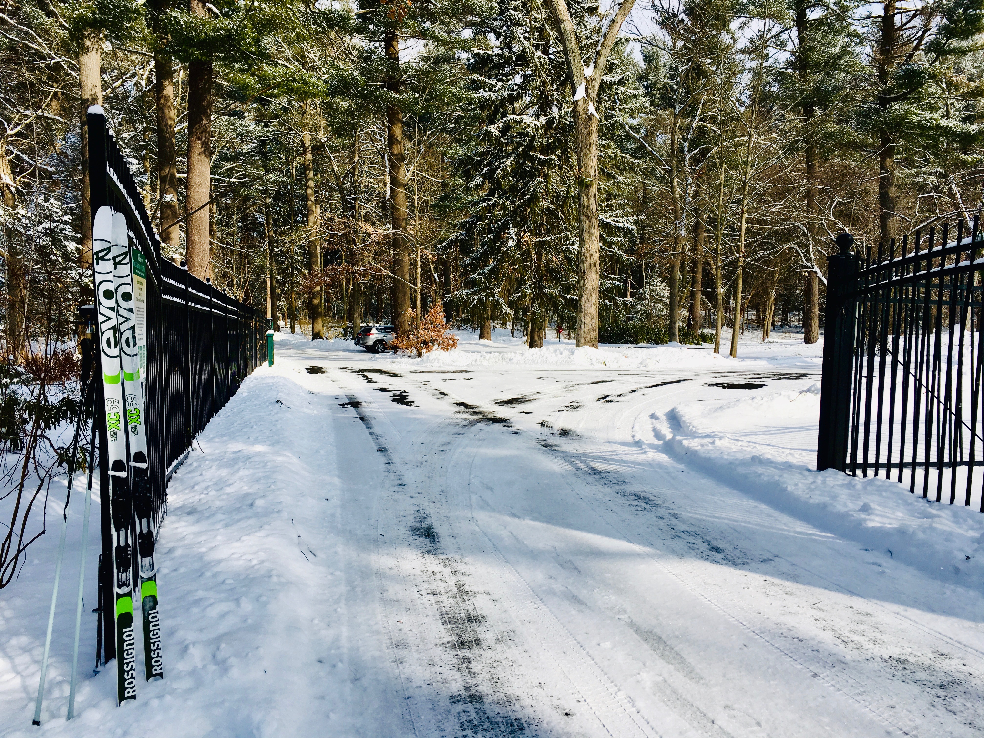 Nordic skiing, Wellesley