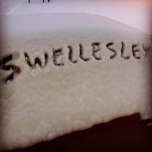 swellesley snow