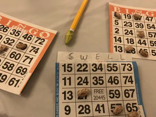 wellesley bingo