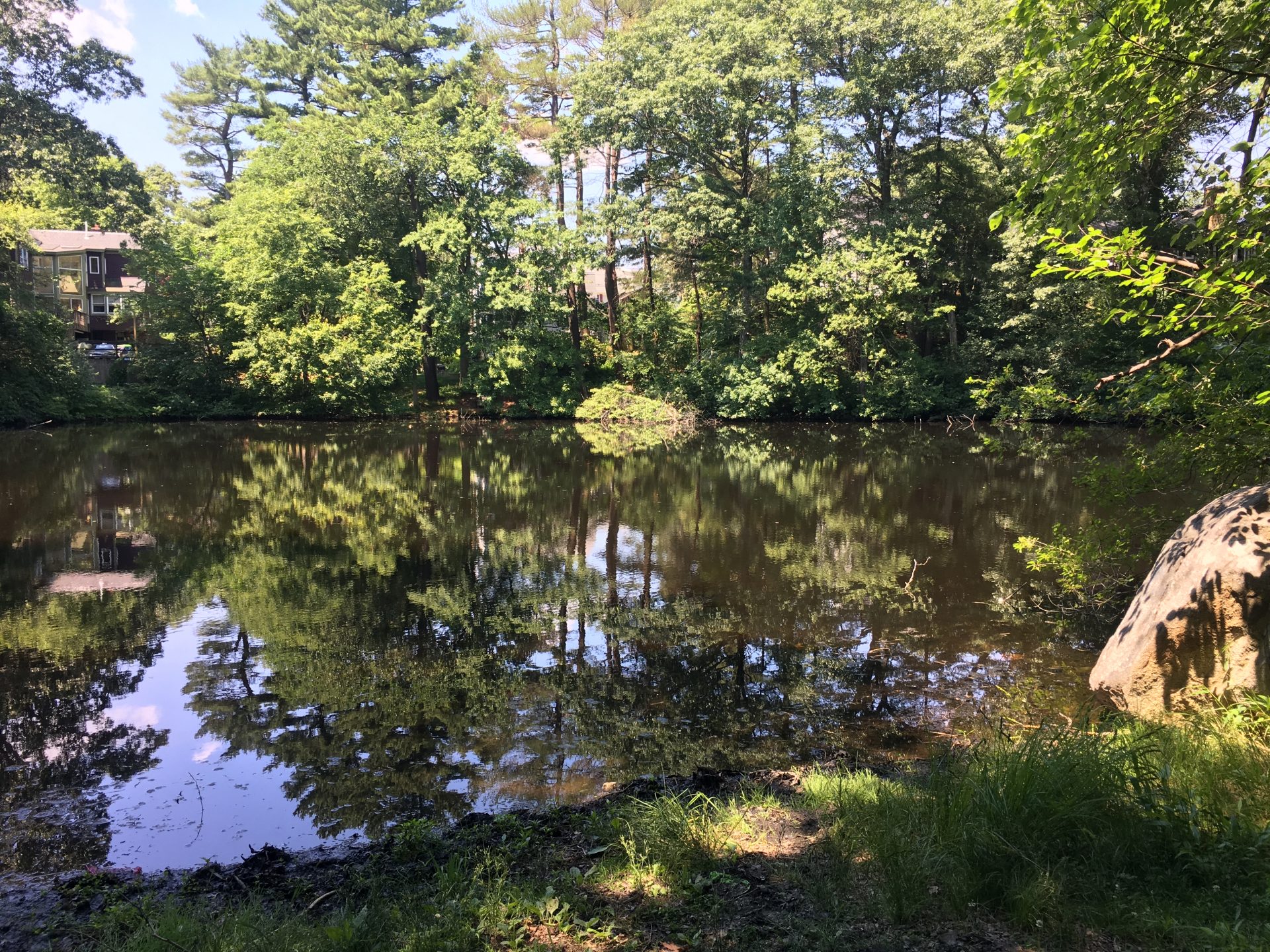 Reeds Pond, Wellesley
