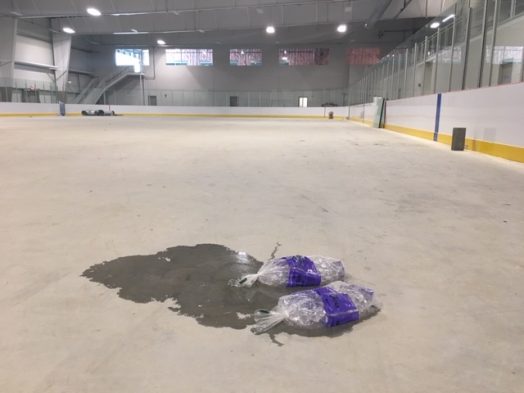 wellesley sports center ice