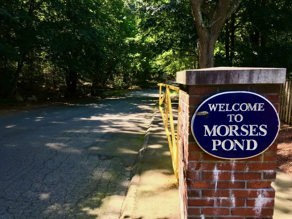 Morses Pond, Wellesley