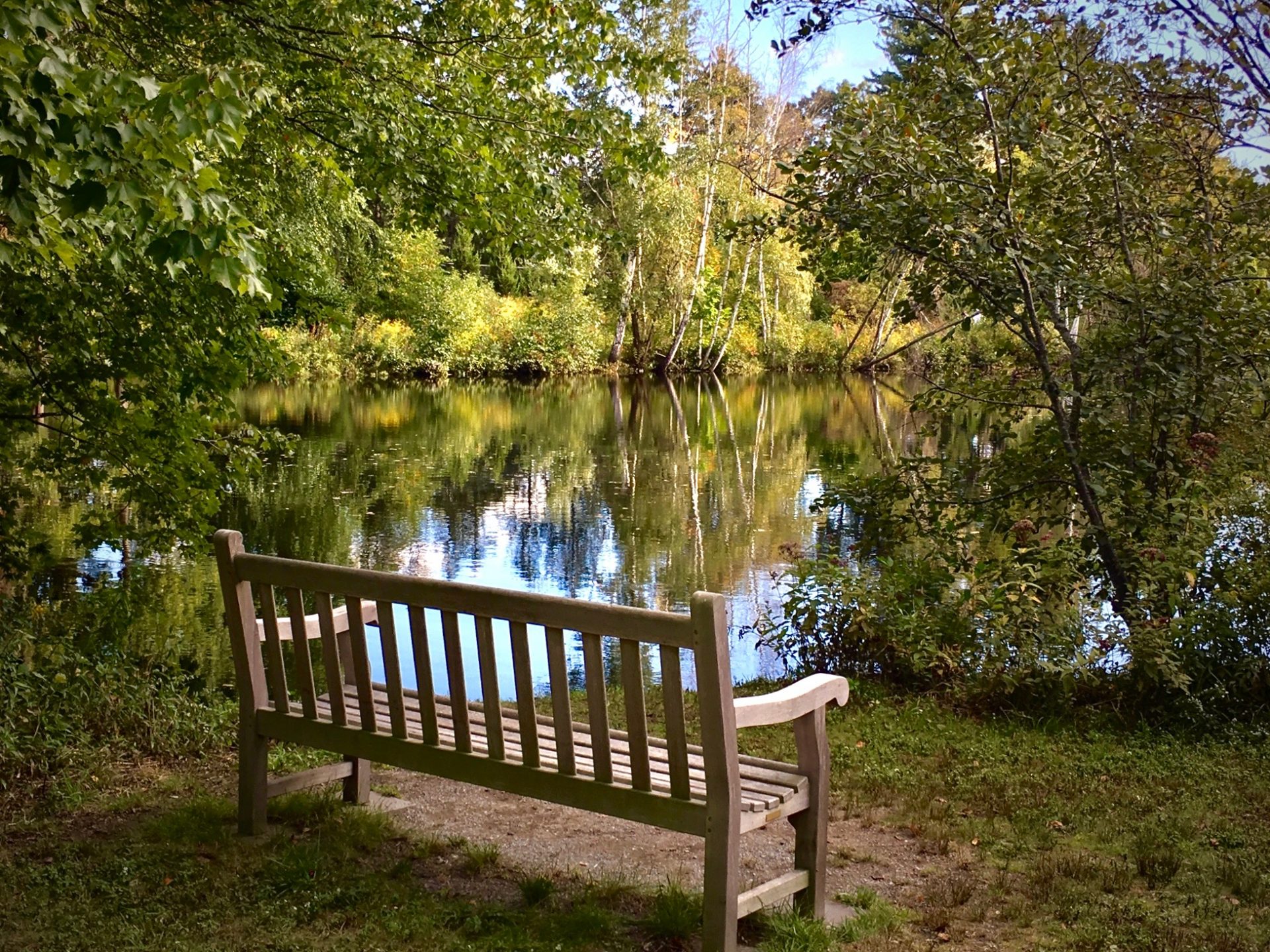 Fuller Brook Park, State Street Pond, early fall 2019