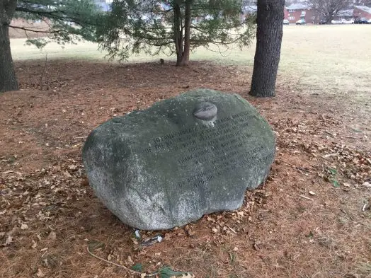 Wellesley football boulder