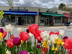 Andrews Pharmacy & Fells Market, Wellesley