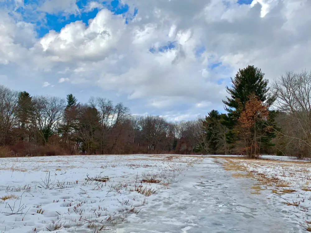 Boulder Brook Reservation, Wellesley