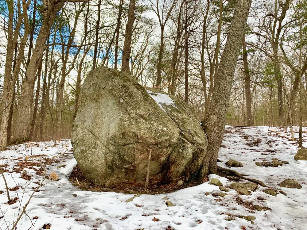Elephant Rock, Wellesley
