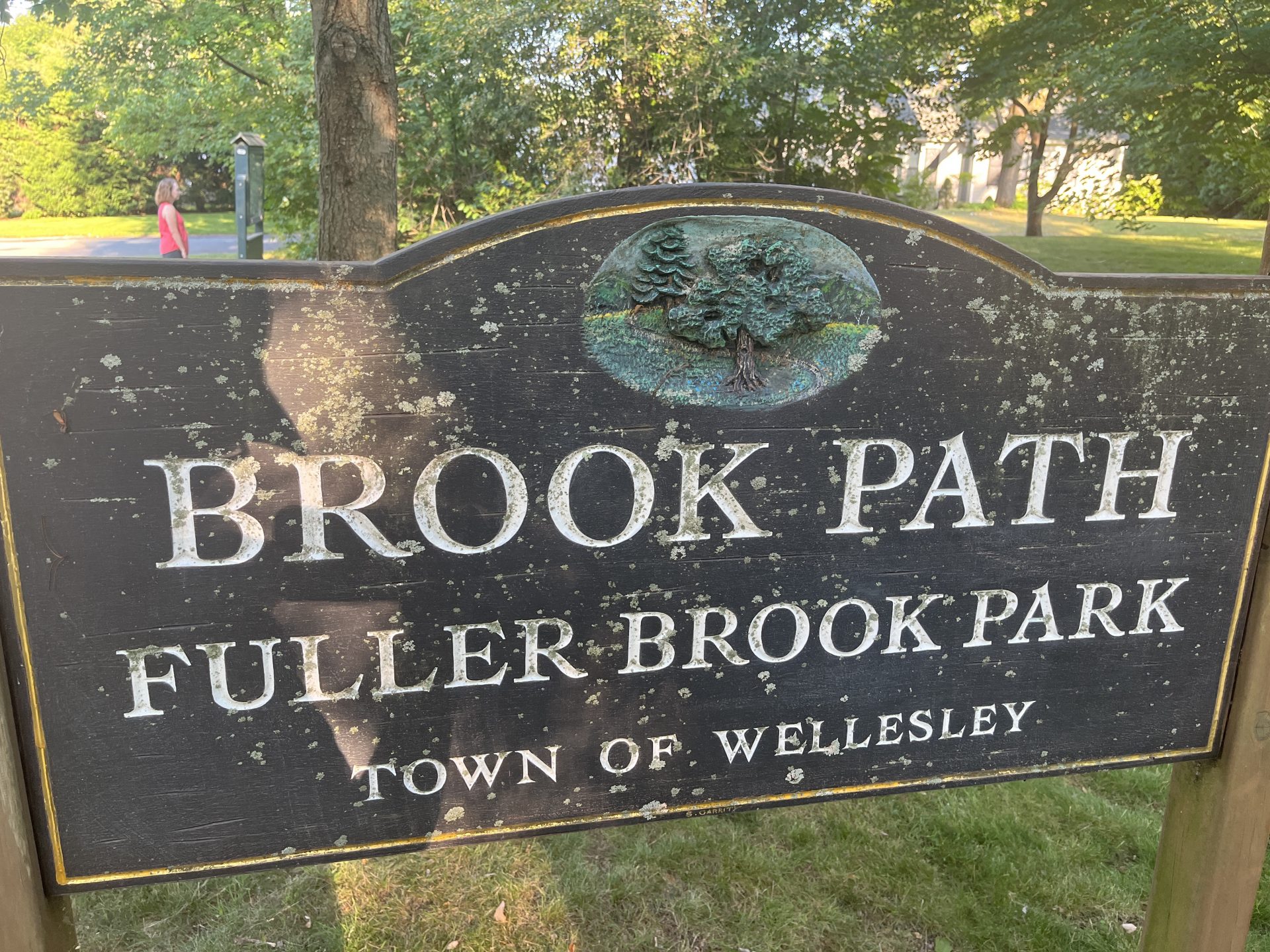 fuller brook park brook path summer