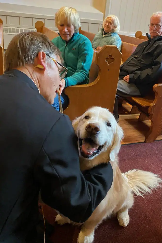 St. Andrew's Blessing of the Animals