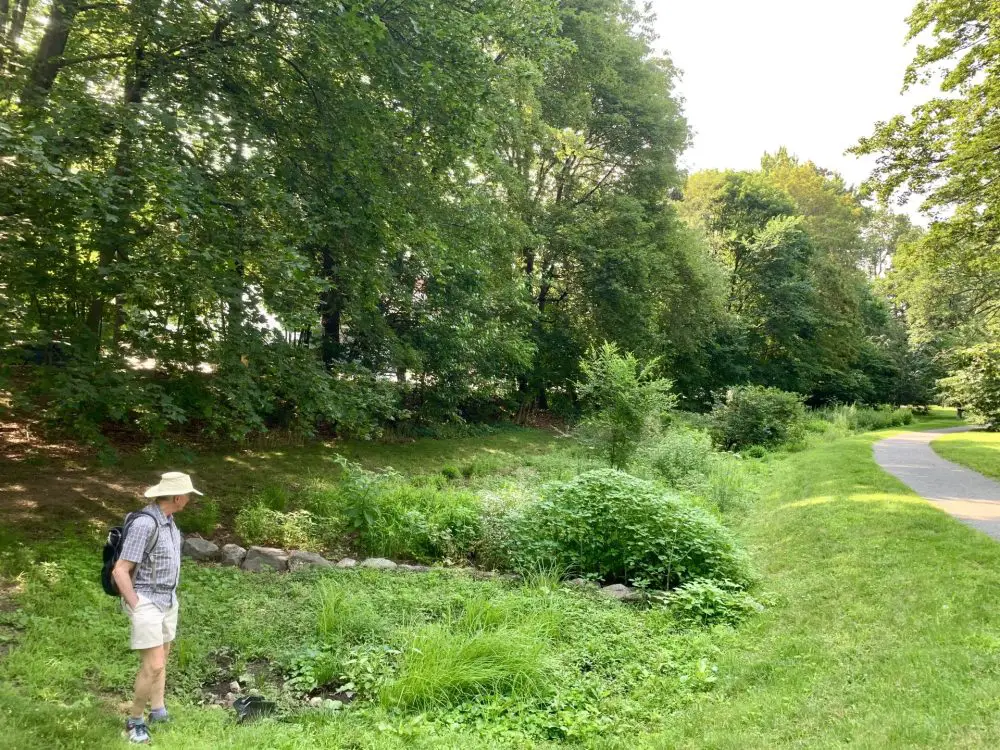 Fuller Brook Park, bioretention basin