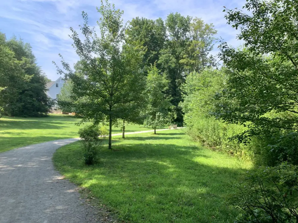 Fuller Brook Park, Wellesley