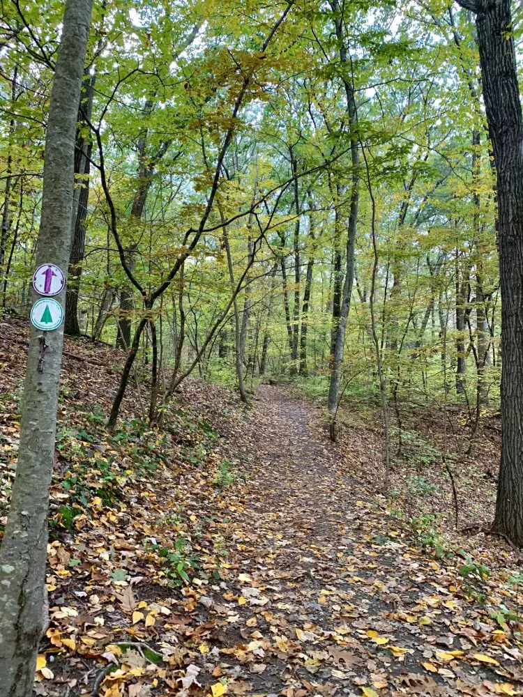 Longfellow Pond, Wellesley