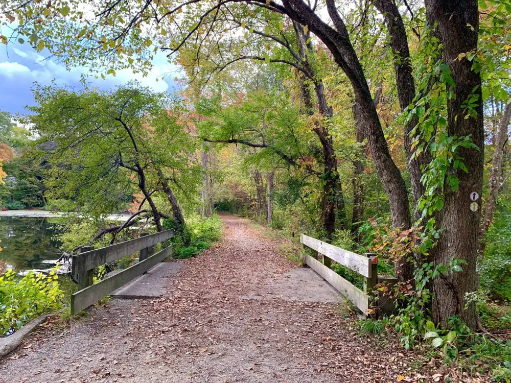 Longfellow Pond, Wellesley