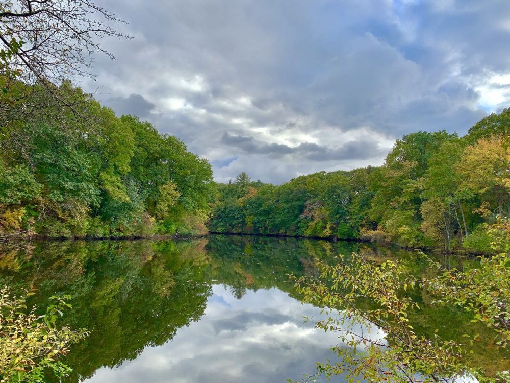 Longfellow Pond, Wellesley