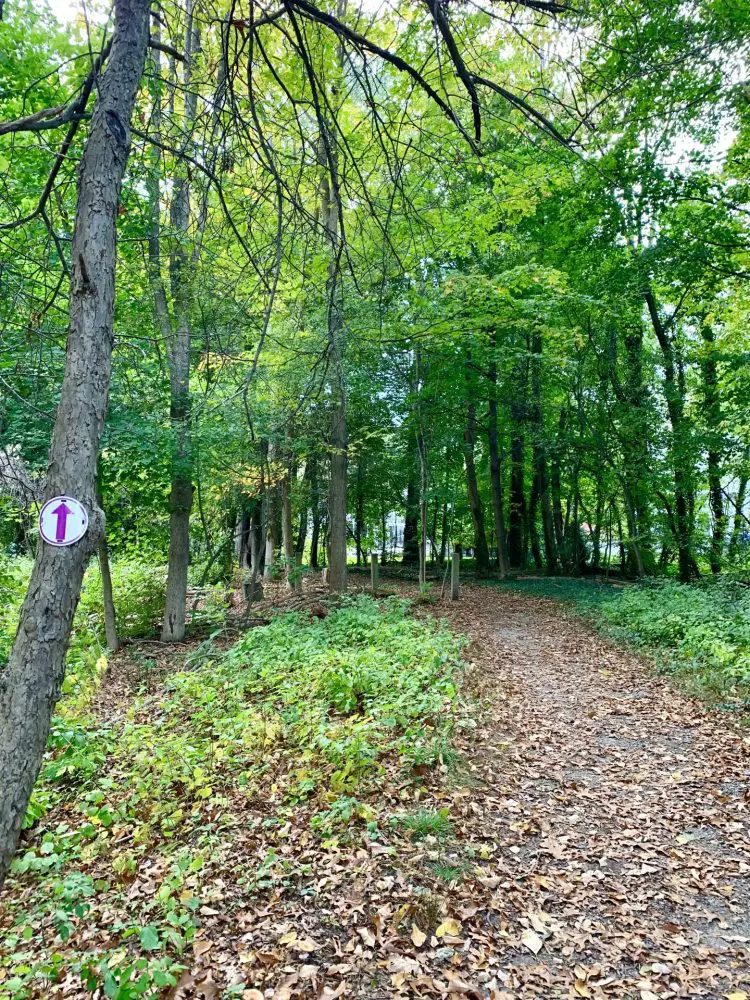 Longfellow Pond, Wellesley