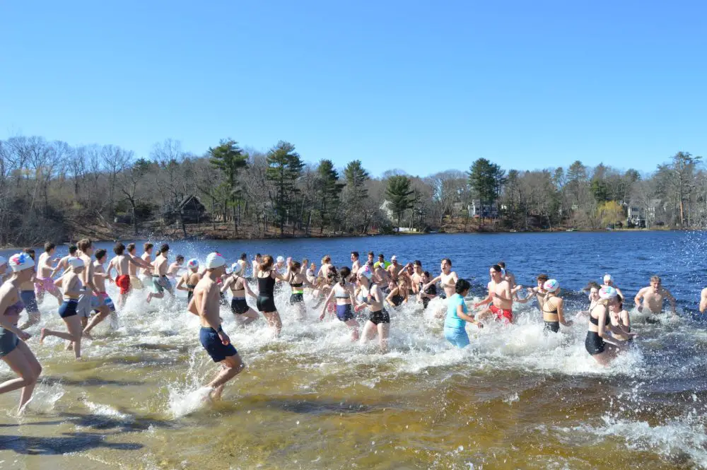 Plunge for Elodie