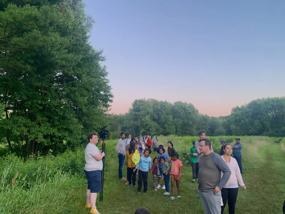 Wellesley Conservation Land Trust, Firefly Walk