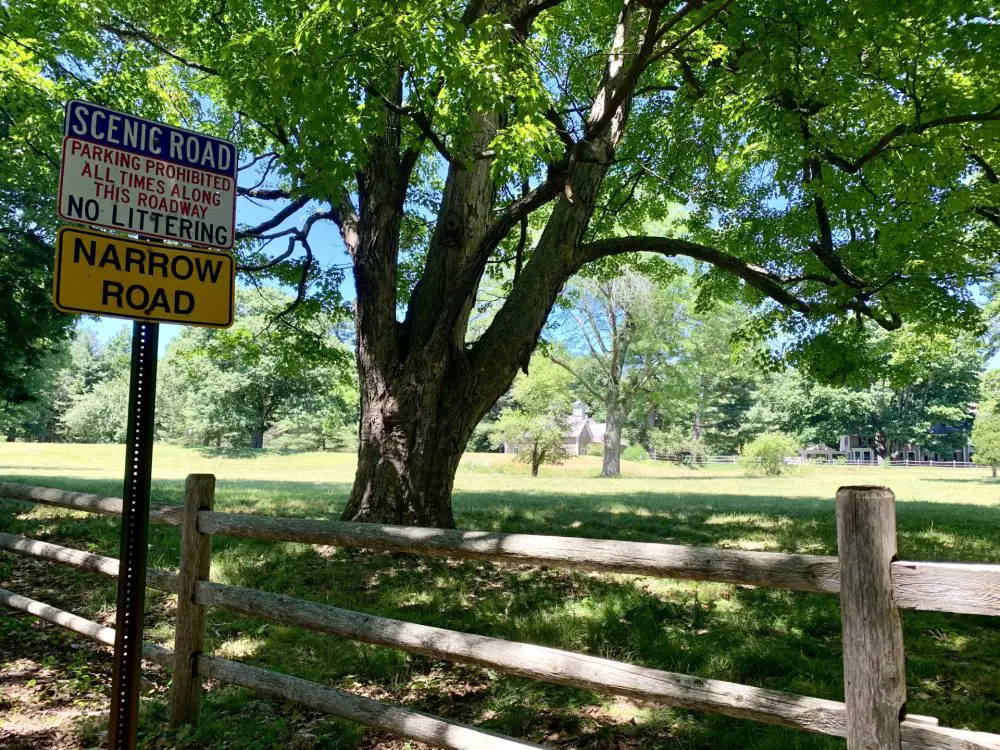 Pond Road, narrow, scenic, mature tree