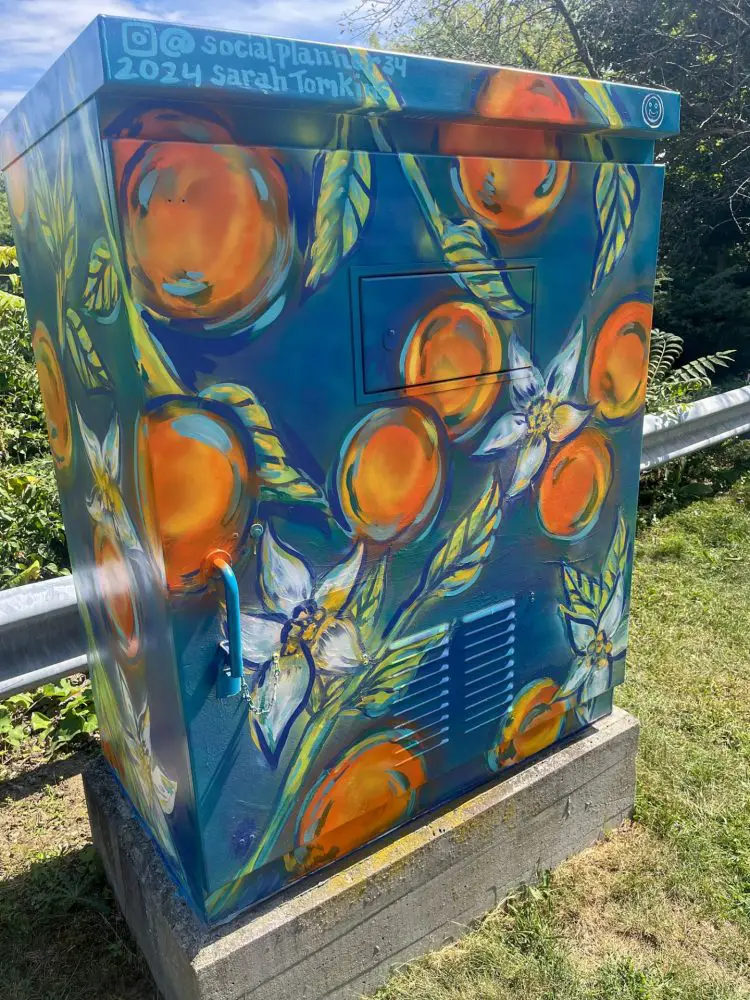 electrical box orange sara cresth