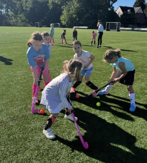 wellesley youth field hockey club